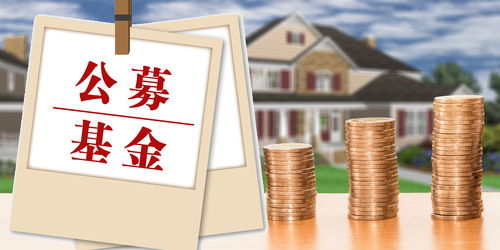 基金公司逆市布局 發(fā)起式產(chǎn)品傳遞市場(chǎng)信心與專(zhuān)業(yè)服務(wù)價(jià)值